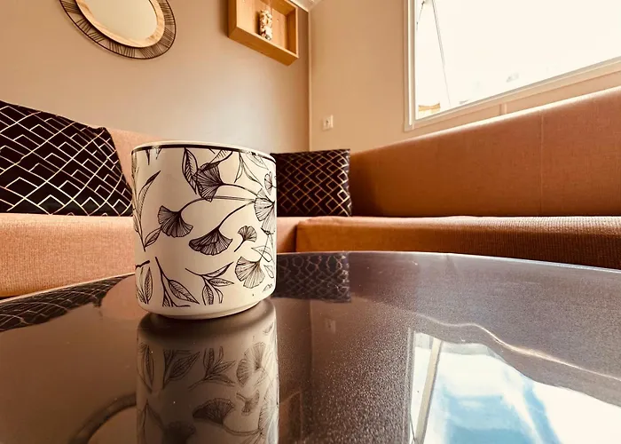 Chalet Les Charmettes Mobilhome 2 Ch Climatisé - Terrasse Totalement Abritée - Locsweethome