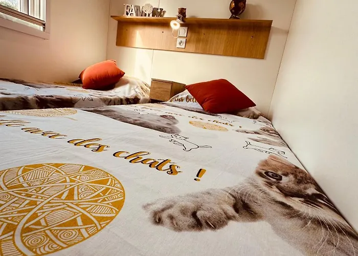 Les Charmettes Mobilhome 2 Ch Climatisé - Terrasse Totalement Abritée - Locsweethome